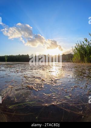 Capturée sous un angle bas, cette image encadre magnifiquement la descente du soleil derrière un lac calme, la lumière du soleil se diffusant à travers les nuages et se reflétant sur la surface de l'eau. Les détails de premier plan du lit du lac sous l'eau claire ajoutent profondeur et texture, tandis que le ciel radieux passe du bleu du jour aux tons plus chauds du soir. La végétation verte à droite apporte une touche de vie à la composition, contrastant avec la large étendue du ciel au-dessus. Dawning Glow sur le Lakeshore. Photo de haute qualité Banque D'Images