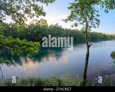 L'image montre une scène tranquille au bord du lac pendant les heures magiques du crépuscule. Les eaux calmes reflètent la lumière déclinante et les couleurs du ciel, tandis que les arbres serrent le rivage, leurs feuilles d'un vert vibrant contre la lumière du soir. Un arbre solitaire se penche légèrement vers l'eau, comme dans une contemplation tranquille. Les ondulations douces sur la surface du lac ajoutent de la texture à la scène, et une petite jetée en bois invite le spectateur à vivre la sérénité du moment.Serene Lakeside at Twilight. Photo de haute qualité Banque D'Images