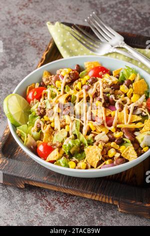 La salade Taco est une salade chaude à base de haricots piments, de bœuf haché épicé, de maïs, de laitue, de fromage et d'avocat en gros plan sur l'assiette de la table. Vertical Banque D'Images