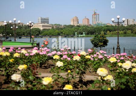 DONETSK, UKRAINE - 09 JUIN 2010 : habitants du centre de Donetsk. Donetsk avant la guerre. Banque D'Images