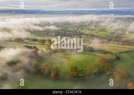 Matin d'automne brumeux au-dessus de Cadbury Castle Iron Age Hillfort, Cadbury, Devon, Angleterre. Automne (novembre) 2021. Banque D'Images