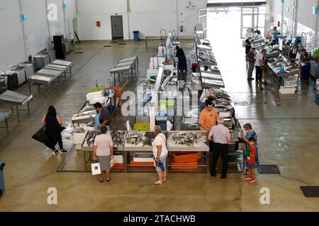 Marché aux poissons de Caldas da Rainha. Leiria, Portugal. Banque D'Images