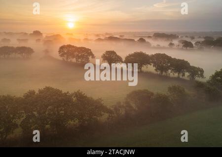 Lever de soleil d'été sur les champs brumeux et les arbres, Devon, Angleterre. Banque D'Images