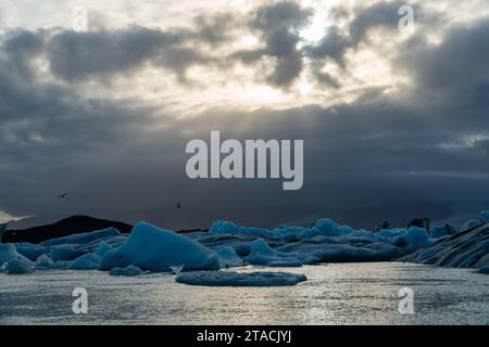 Islande, Jökulsarlon Gletscher lagune Banque D'Images