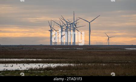 Un parc éolien, vu dans une brume bleue, se dresse près de la côte de la mer du Nord par un matin d'hiver rose dans cette photo longue distance Banque D'Images