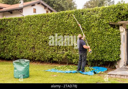 Homme mature taille haie avec un taille-haie électrique dans le jardin. Banque D'Images