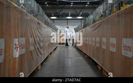 Leipzig, Allemagne. 30 novembre 2023. Alignés des cages avec de la volaille pedigree dans une salle du salon de Leipzig. Du 1 au 3 décembre 2023, le 127e salon fédéral de Lipsia et le 27e salon des pigeons de race auront lieu au salon de Leipzig, où plus de 21 000 animaux seront exposés et soumis à une évaluation professionnelle. Crédit : Patricia Bartos/dpa/Alamy Live News Banque D'Images