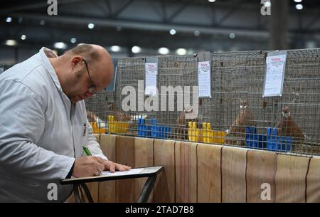 Leipzig, Allemagne. 30 novembre 2023. Un juge évalue les pigeons de pedigree dans la cage. Du 1 au 3 décembre 2023, le 127e salon fédéral de Lipsia et le 27e salon des pigeons de race auront lieu au salon de Leipzig, où plus de 21 000 oiseaux seront exposés et soumis à une évaluation professionnelle. Crédit : Patricia Bartos/dpa/Alamy Live News Banque D'Images