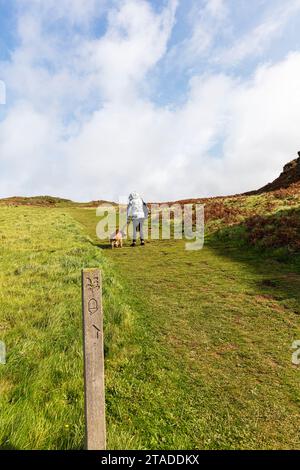 North Devon Coastal Path, Devon, Angleterre, Royaume-Uni, marche, randonnée, randonnée, chien de marche, marche avec chien, nord Devon, sentier côtier, sentier côtier, promenade côtière, Banque D'Images