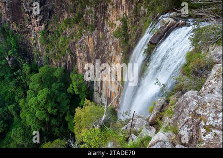 Chutes de Minyon, chute d'eau dans le Nightcap National Park sur la côte est, Queensland, Australie Banque D'Images