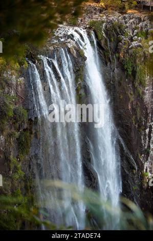 Chutes de Minyon, chute d'eau dans le Nightcap National Park sur la côte est, Queensland, Australie Banque D'Images