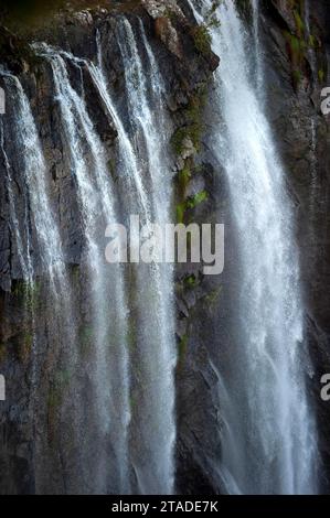 Chutes de Minyon, chute d'eau dans le Nightcap National Park sur la côte est, Queensland, Australie Banque D'Images