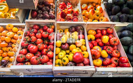 Vue de différentes variétés de tomates en petites caisses sur un étal d'un marché provençal Banque D'Images