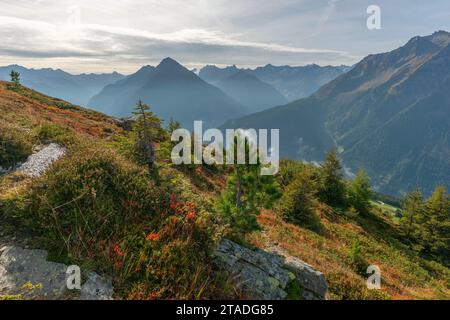 Mont Penken, Penkenjoch (2.095m) , Finkenberg municipalité, Alpes du Zillertal, Vallée de Tux, Tyrol, Autriche Banque D'Images