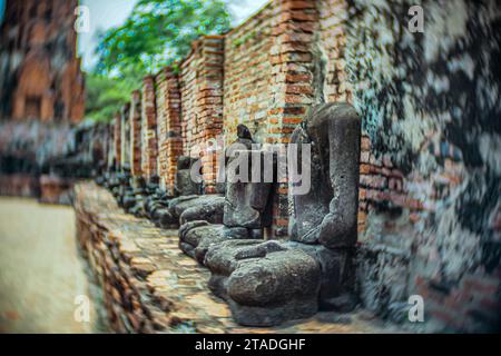 Explorer Ayutthaya Thaïlande, site classé au patrimoine mondial de l'UNESCO et merveilles culturelles Banque D'Images