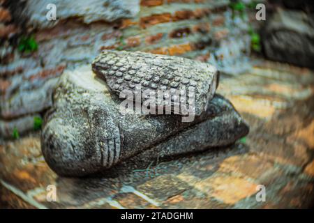 Gros plan détaillé de fragments de statue de Bouddha en pierre altérée, montrant des textures de cheveux bouclés sur le terrain du temple en ruine avec une mise au point sélective. Banque D'Images