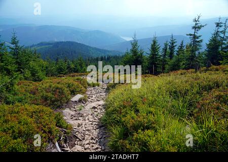 Beskydy morave-silésien, Moravskoslezsky kraj, République tchèque Banque D'Images