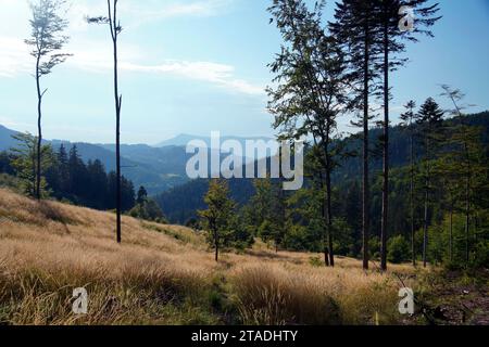 Beskydy morave-silésien, Moravskoslezsky kraj, République tchèque Banque D'Images