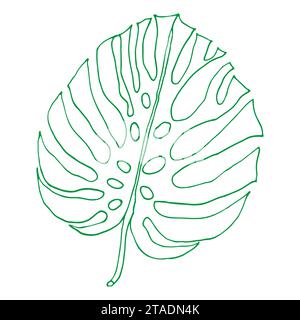 Monstera contour feuilles tropicales, élément de conception de verdure feuilles Monstera, plante de jungle. Line art monstera feuille pour livre de coloriage, logo ou scrapbook d Illustration de Vecteur