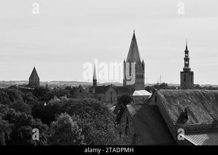 Blick auf die Soester Kirchen in Soest, Kreis Soest, NRW, - crédit : Fotografie Sarah Bömer Banque D'Images