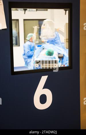 Rendsburg, Allemagne. 29 novembre 2023. Une opération réalisée au centre chirurgical de la Schön Klinik. Crédit : Frank Molter/dpa/Alamy Live News Banque D'Images