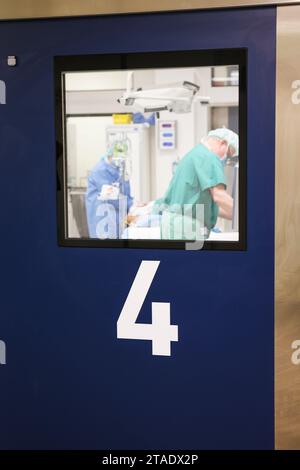 Rendsburg, Allemagne. 29 novembre 2023. Une opération réalisée au centre chirurgical de la Schön Klinik. Crédit : Frank Molter/dpa/Alamy Live News Banque D'Images