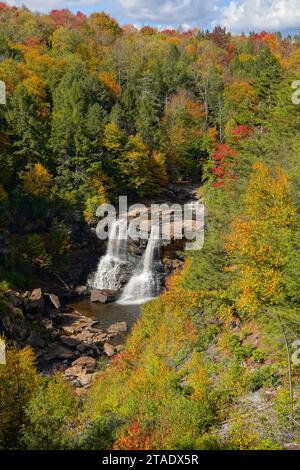 Couleur d'automne dans Blackwater Falls State Park Banque D'Images