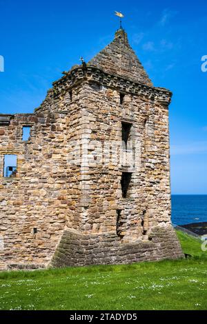 Ruines du château de St Andrews dans le Royal Burgh de St Andrews à Fife, Écosse, Royaume-Uni Banque D'Images