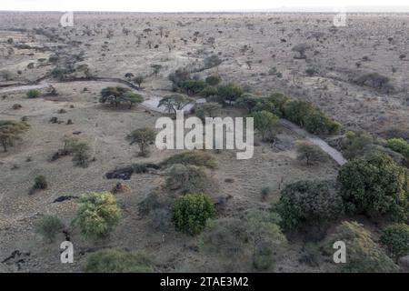 Tanzanie, WMA (zone de gestion de la faune sauvage) de Randilen, district de Monduli, région d’Arusha la rivière sèche qui traverse la réserve (WMA) Banque D'Images