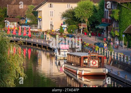 France, Savoie (73), Chanaz, ViaRhôna, cyclistes le long du Canal de Savières Banque D'Images