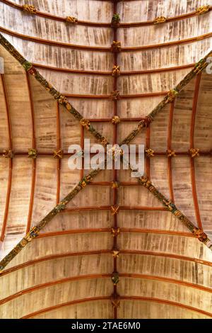 France, Finistère, Pleyben, enclos paroissial, l'église, sculptures peintes en bois sur le longeron décorant la voûte Banque D'Images