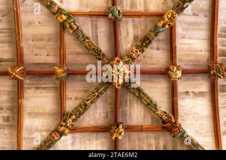 France, Finistère, Pleyben, enclos paroissial, l'église, sculptures peintes en bois sur le longeron décorant la voûte Banque D'Images