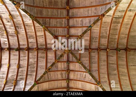 France, Finistère, Pleyben, enclos paroissial, l'église, sculptures peintes en bois sur le longeron décorant la voûte Banque D'Images