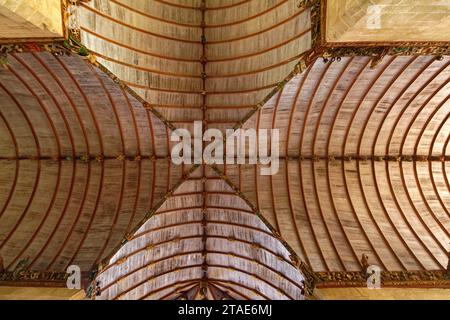 France, Finistère, Pleyben, enclos paroissial, l'église, sculptures peintes en bois sur le longeron décorant la voûte Banque D'Images