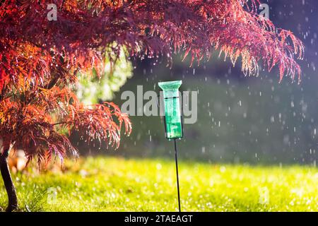 Pluviomètre en plastique dans le jardin à côté de rouge acer collectant l'eau pendant la pluie d'été Banque D'Images