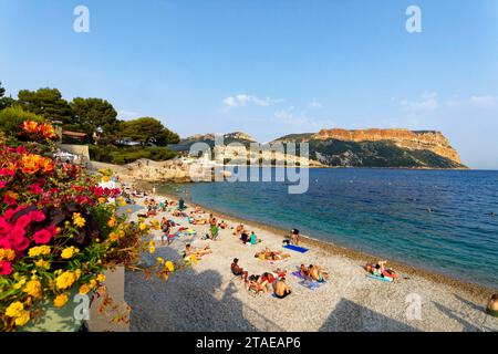 France, Bouches du Rhône, Cassis, plage du Bestouan, entrée du Port et le Château de Cassis du 13e siècle surplombe le port de la ville, le Cap Canaille en arrière-plan Banque D'Images