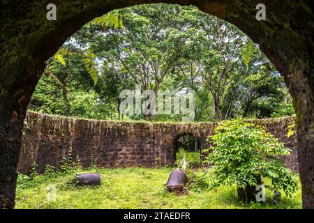 France, Guyane française, Rémire-Montjoly, Vidal Mondélice sentier Banque D'Images