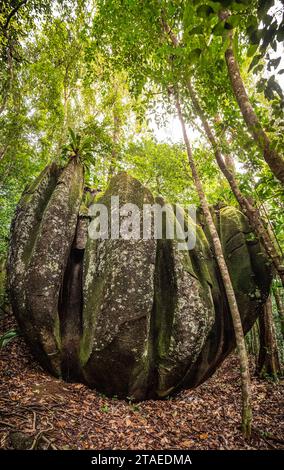 France, Guyane, Saint-Georges, randonnée dans la forêt domaniale Régina vers l'inselberg savane-roche Virginie, le seul accessible depuis la côte, ici des blocs de granit vieux de plus de 2 milliards d'années, vue panoramique Banque D'Images