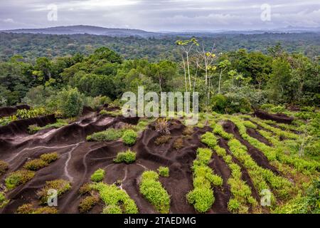 France, Guyane, Saint-Georges, randonnée dans la forêt domaniale de Régina jusqu'à l'inselberg savane-roche Virginie, le seul accessible depuis la côte, vue aérienne de l'inselberg (vue aérienne) Banque D'Images