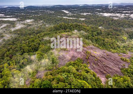 France, Guyane, Saint-Georges, randonnée dans la forêt domaniale de Régina jusqu'à l'inselberg savane-roche Virginie, le seul accessible depuis la côte, vue aérienne de l'inselberg (vue aérienne) Banque D'Images