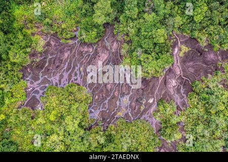 France, Guyane, Saint-Georges, randonnée dans la forêt domaniale de Régina jusqu'à l'inselberg savane-roche Virginie, le seul accessible depuis la côte, vue aérienne de l'inselberg (vue aérienne) Banque D'Images