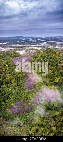 France, Guyane, Saint-Georges, randonnée dans la forêt domaniale de Régina jusqu'à l'inselberg savane-roche Virginie, le seul accessible depuis la côte, vue aérienne panoramique de l'inselberg (vue aérienne) Banque D'Images