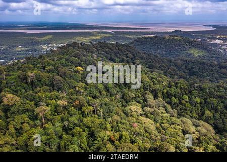 France, Guyane, Matoury, Réserve naturelle du Mont Grand Matoury, randonnée sur la boucle du sentier Lamirande, vue aérienne de la canopée amazonienne, du Mahury et de l'océan Atlantique en arrière-plan (vue aérienne) Banque D'Images
