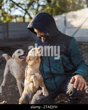 Homme mûr accroupi avec deux chiens à l'abri et les caressant Banque D'Images