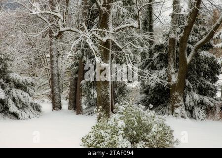 DE - BAVIÈRE : hiver en haute-Bavière (Bad Toelz, Oberbayern, Allemagne) Banque D'Images