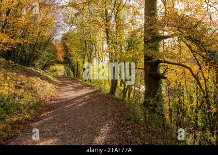 Un sentier automnal de craie qui serpente autour du lac Swanbourne dans Arundel Park, South Downs National Park, West Sussex, Royaume-Uni. Banque D'Images