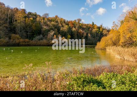 Le pittoresque et calme lac Swanbourne, Arundel, West Sussex, Royaume-Uni. Banque D'Images