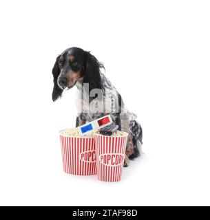 Mignon chien Cocker Spaniel avec des seaux de pop-corn, lunettes de cinéma 3D et télécommande de télévision assis sur fond blanc Banque D'Images