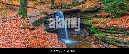 Vue sur Dundee Falls en automne, Beach City Wilderness Area, Ohio Banque D'Images