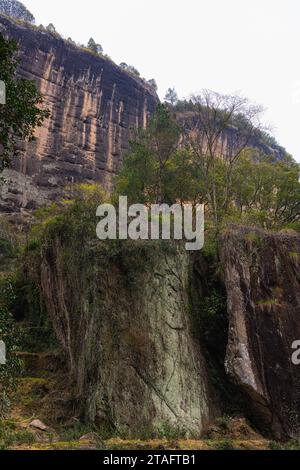 Gros plan sur les formations rocheuses de Wuyishan sur le chemin de Da Wang Shan, Fujian, Chine. Image d'arrière-plan verticale avec espace de copie pour le texte Banque D'Images